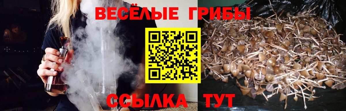 Галлюциногенные грибы Magic Shrooms Советск